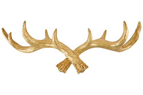 Hansmeier Cornamenta Colgador - Oro - 49 cm - Ciervo Colgador para la Pared - Decoración de Gancho y Pared multipropósito - Alta Capacidad de Carga (Oro)