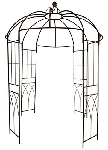Outour Glorieta de 4 lados en forma de jaula, hecha de hierro, soporte ideal para plantas de escalada y flores