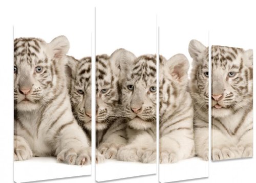 Art_Depot_Outlet - Lienzo de 4 paneles (101 x 71 cm), imagen de crías de tigre