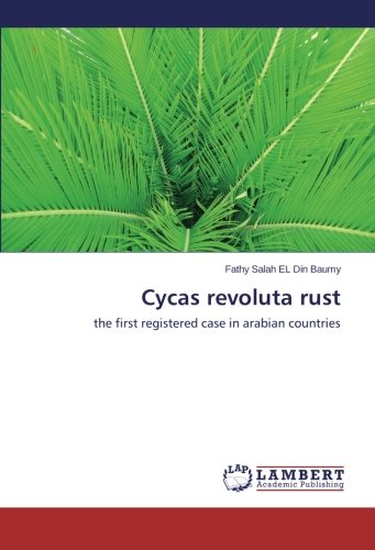 Cycas Revoluta Rust