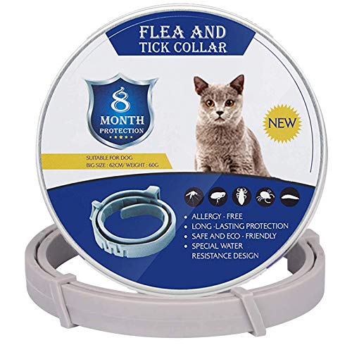 GLEADING Collar Anti Pulgas y Garrapatas para Perros y Gatos, Resistente al Agua y Ajustable-38cm, Prevención por 8 Meses Control Efectivo de Pulgas y Garrapatas