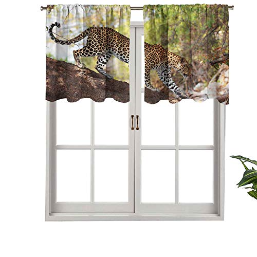 Hiiiman - Cortina de bolsillo para barra, diseño de leopardo, reserva natural, juego de 1, 50 x 45,7 cm para ventana para sala de estar