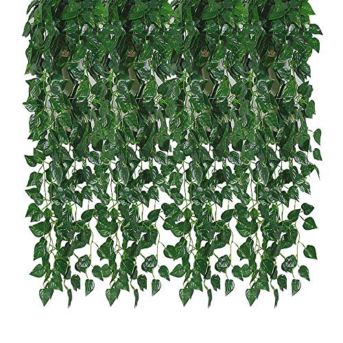 Kalolary 84 Ft 12 Hilos Artificial Ivy Garland Hoja Vines Plantas Verdes, Colgando Plantas Falsas, para Bodas Fondo de Pared Arco Fiesta en la Jungla Mesa Decoración de Oficina (Scindapsus)