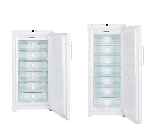 Liebherr 670284 congelador armario, 20 °C, con ventilación, 356 L, GN 3613 X