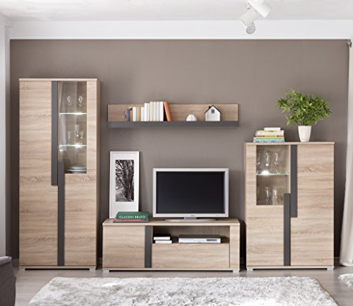 Mueble Modular Moderno de salón Link de 320 cm. formado por Mueble TV y vitrinas. Color Roble.