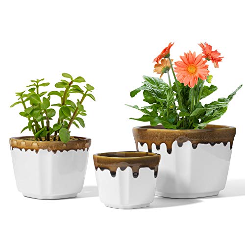 T4U Macetas para Plantas Blanca Conjunto de 3, Tiestos para Plantas de Ceramica, Macetero Bonsai Pequeña para Succulenta, Cactus y Hierba (Planta no Incluida)