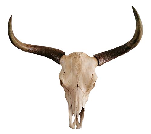 MichaelNoll Cabeza de toro con cabeza de toro y cabeza de bullo, cráneo de buller, cuernos, cuernos, decoración de pared de polirresina, tamaño XXL, 73 cm