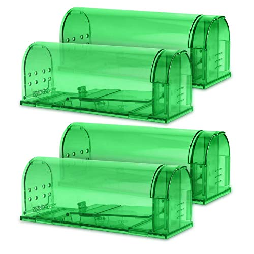 Navaris 4X Trampa para Ratas - Set de 4 trampas para Ratones y Otros Animales pequeños - Ratonera de plástico de Color Verde Transparente