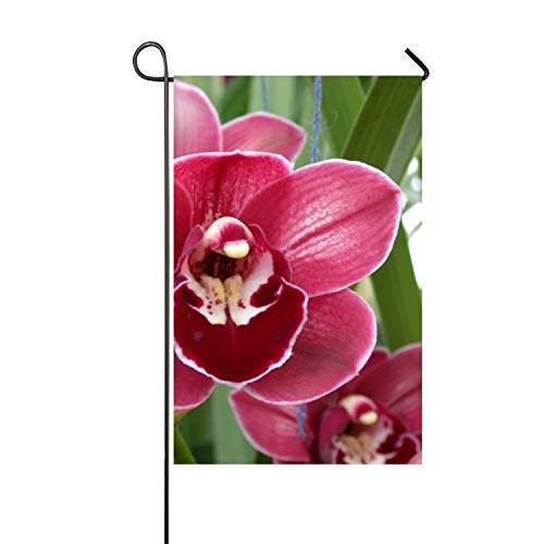 Personalidad de Verano Diferentes Tipos de orquídeas Bandera de jardín Poliéster Bandera al Aire Libre Fiesta en casa - Impresión dúplex
