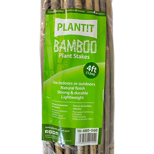 PLANT !T 10-480-060 Estacas de bambú, Paquete de 25 Unidades, Beige, 122x3x6 cm