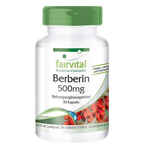 Berberina 500mg - Dosis elevada - Vegana - Berberina HCl + Zinc - 90 Cápsulas - Calidad Alemana