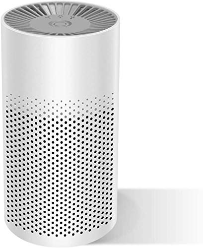 isinlive Portable Air Purifier for Home Bedroom Office Desktop Pet Room, 3-in-1 True HEPA Mini Purifier, Safe Mini Air Cleaner