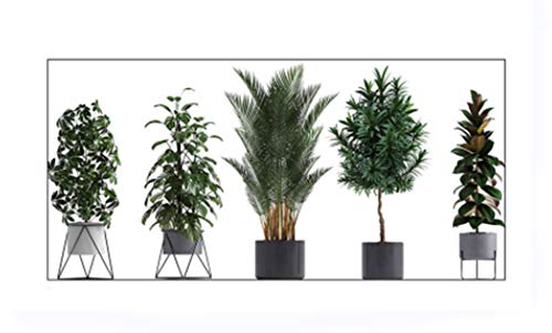 Pegatinas de Pared Plantas Tropicales Adhesivo Pared Plantas en Maceta 3d Arte de Bricolaje (crisálidocarpo)