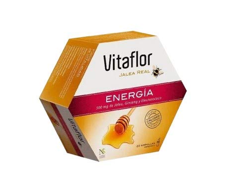 Actibios Vitaflor Energia Plus 20Viales 1 Unidad 250 g
