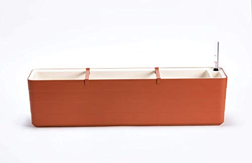 Berberis Jardinera con sistema de riego, autorriego, 60 cm y 80 cm (terracota, marfil, 80)