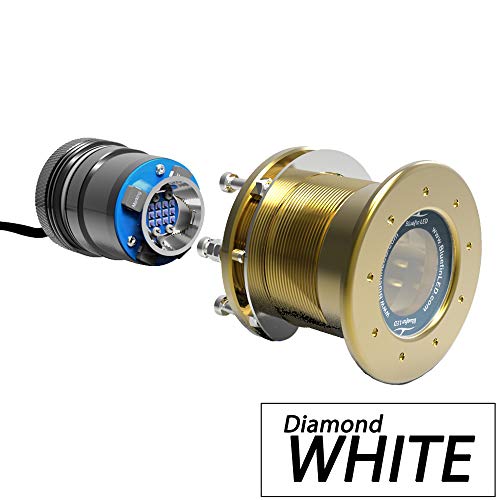 Bluefin LED Mako M12 - Bianco - 12 V. - 6000 lm (1000010143)