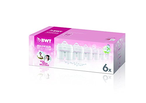 BWT 814336 Pack 6 filtros Jarra de Agua con magnesio Longlife mg2+, Polímeros Plásticos, Blanco, 6 Meses