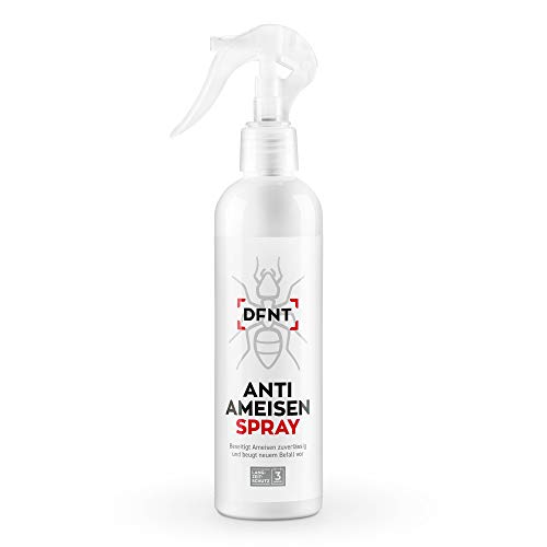 DFNT Mata Hormigas 250 ml l Spray Anti Hormigas de Larga duración l Insecticida Hormigas l Alternativa a Veneno para Hormigas y trampas Hormigas