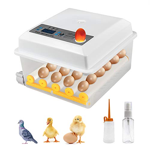 Kacsoo Incubadora de Huevos Digital Incubadora Automática de 16 Huevos con Control de Temperatura Incubadora Automática con Volteador para Incubar Huevos de Gallina de Codorniz de Ganso de Pavo