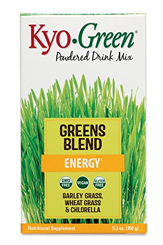 Kyolic Kyo-Green Energy Powered Drink Mix (5.3-Ounce) by Kyolic