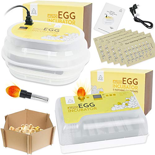MINICHICK Incubadora digital totalmente automática de huevos gallina con volteo / diseñada en España. Control de temperatura y humedad. (CIRCULAR)
