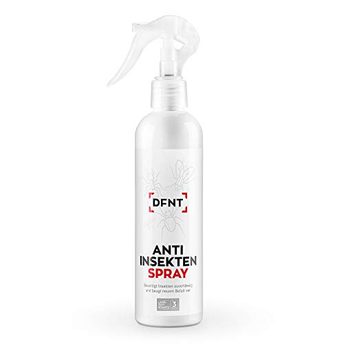 Repelente insectos interior y exterior DFNT l Spray mata insectos de 250 ml, insecticida para moscas y mosquitos l Anti insectos de jardín