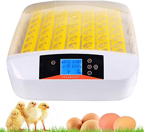 Sailnovo Incubadora Automática de Huevos 56 Huevos Pantalla Digital de Temperatura Dispositivo de Incubación Gallina Pato Codorniz