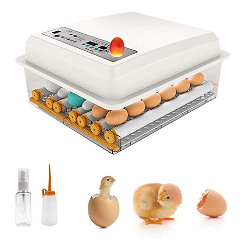 TTLIFE Incubadora de huevos digital para 16 huevos, incubadora automática de huevos para incubar y girar huevos Máquina para incubar huevos de gallina de codorniz de ganso de pavo
