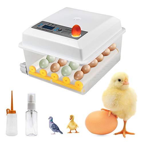 TZUTOGETHER Incubadora Automática 16 Huevos,incubadoras de huevos automaticas,incubadoras de pollitos,pantalla digital Incubadora inteligente para el hogar Control automático de temperatura y giro