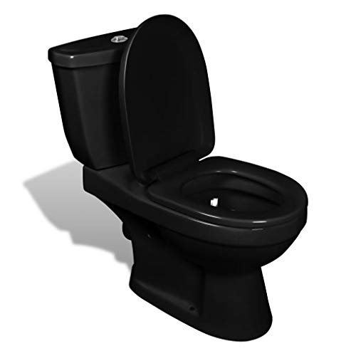 vidaXL Inodoro de Suelo con Cisterna 1 Pieza Cerámico Negro Váter WC Retrete