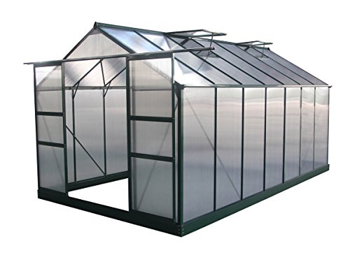 Viva Green 1299 69183 Dahlia - Invernadero de jardín de policarbonato/plástico de Color Verde. 13,29 m². 430 x 309 x 248 cm