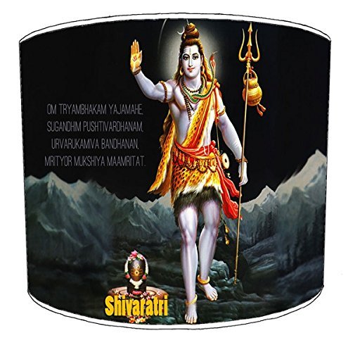 12 Inch Ceiling Hindu God Lords godesses lampshade 7