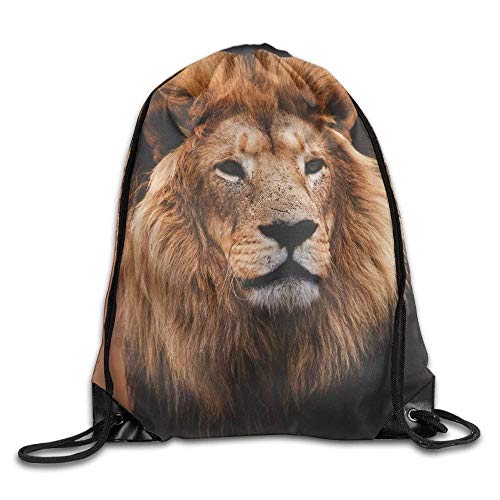 Ccsoixu Galaxy Cat Laser Basic Drawstring Backpack Workout Sackpack for Men & Women School Travel Bag，Drawstring Bag Sport Gym Backpack Gym Bag for Men and Women