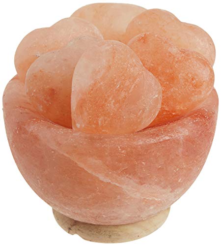 Evolution Salt Esfera de cristal de la sal del Himalaya 7-8 lbs Tazón abundancia