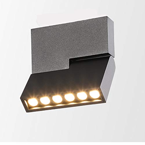HAOFU Lámpara de techo LED Plafón con Focos Giratorios Bajo consumo 12W 230V 3000K Blanco cálido 1000lm 83Ra IP20 13.3 x 11.6 x 2.6CM (Negro+blanco Cálido)