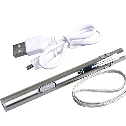 Mengonee Acero Inoxidable USB Recargable Mini Linterna práctica de la antorcha LED de luz de la Pluma con el Clip