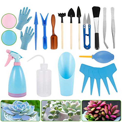 ATopoler 21 herramientas para plantas suculentas, mini herramientas para plantas grasas, juego de herramientas de jardín, herramienta para trasplantar plantas en maceta (azul)