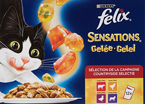 Felix Sensations en gelatina, Carnes, Carne, Pollo, Pato, Cordero – 12 x 100 g – Bolsas Frescas para Gato Adulto – Lote de 6