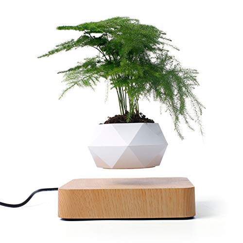 Maceta flotante para bonsai de aire flotante, maceta giratoria, maceta flotante magnética, maceta flotante para jardín, decoración de escritorio (beige)