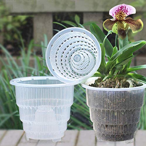 nobran Maceta transparente de plástico con ranura para orquídeas de 10/12/15 cm, ideal para controlar la humedad y el crecimiento de las raíces (15 cm).