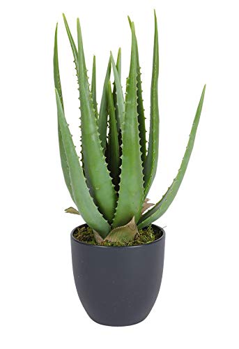 Spetebo Aloe Vera - Planta artificial en maceta (45 cm)
