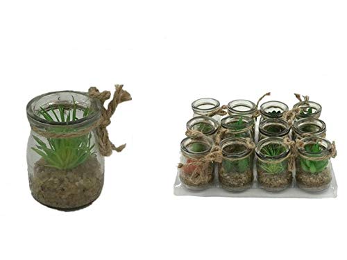 takestop® Jarrón para plantas grasas de cristal, juego de 4 piezas, redondo, 9 cm, para casa y jardín