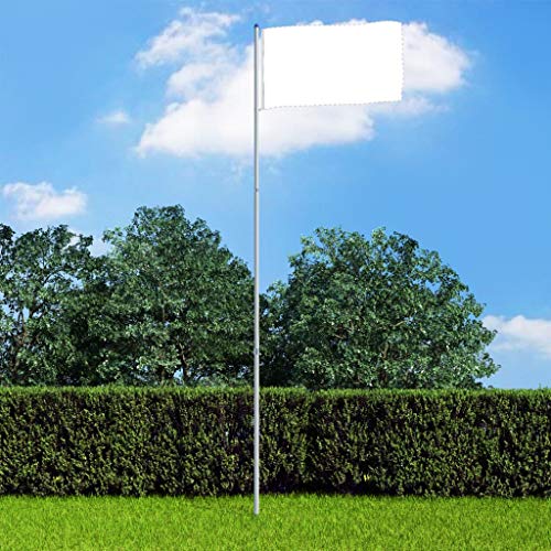Festnight Asta de Bandera Telescópica de Aluminio Mástil para Bandera 6 m