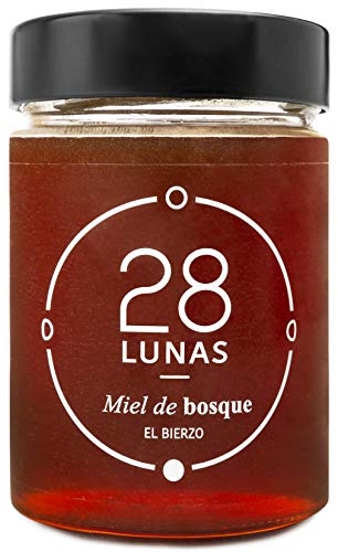 Miel de Bosque - 100% Natural Pura de Abeja, Cruda, 500gr - Origen: El Bierzo, España