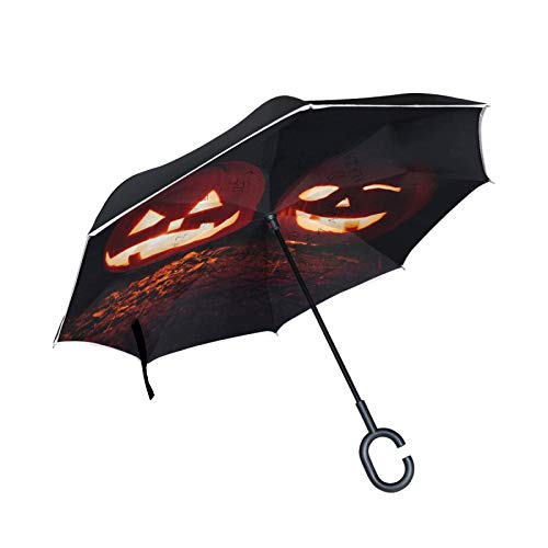 Anemone Pulsatilla Paraguas invertido de doble capa, mango en forma de C, paraguas plegable inverso, resistente al viento, paraguas grande de pie para uso al aire libre