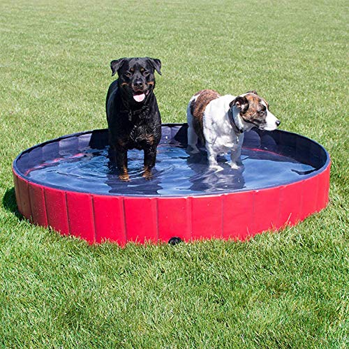 Forever Speed Piscina perros Gatos para perros grandes Portátil Bañera Baño de Mascota Plegable Piscina de Baño Doggy Pool 120 x 30 cm Rojo