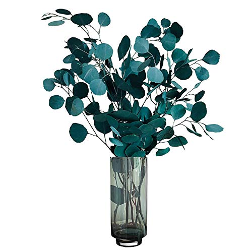 Lzfitpot Flores secas de eucalipto auténticas de lujo secas, decoración natural, ramo de flores secas para casa, oficina, boda, decoración, fotografía, color azul