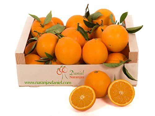 Naranjas Valencianas de Zumo, Del Arbol a Tu Mesa (6 kg)