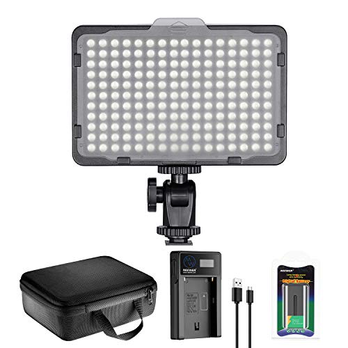 Neewer 176 LED Luz de Video Iluminación Kit: 176 Panel LED Regulable, con Batería de Li-ion 2200mAh, Cargador de Batería USB y Estuche para Fotografía de Producto y Retrato