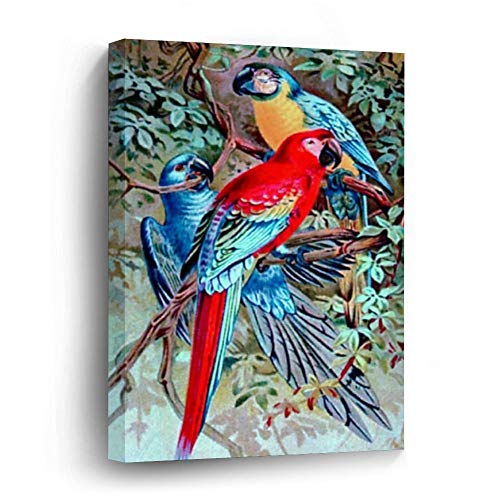 Parrot Birds Painting Canvas Picture Painting Artwork Wall Art Poto Framed Canvas Prints for Bedroom Living Room Home Decoration, Ready to Hanging 8"x12"